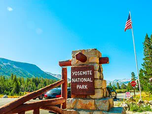 Yosemite's Aggressive Squirrels: A Growing Menace in America's Iconic National Park
