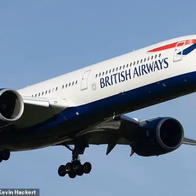 Behind Closed Doors: Exclusive Account of Flight Attendant's Alleged Breach of Passenger Privacy