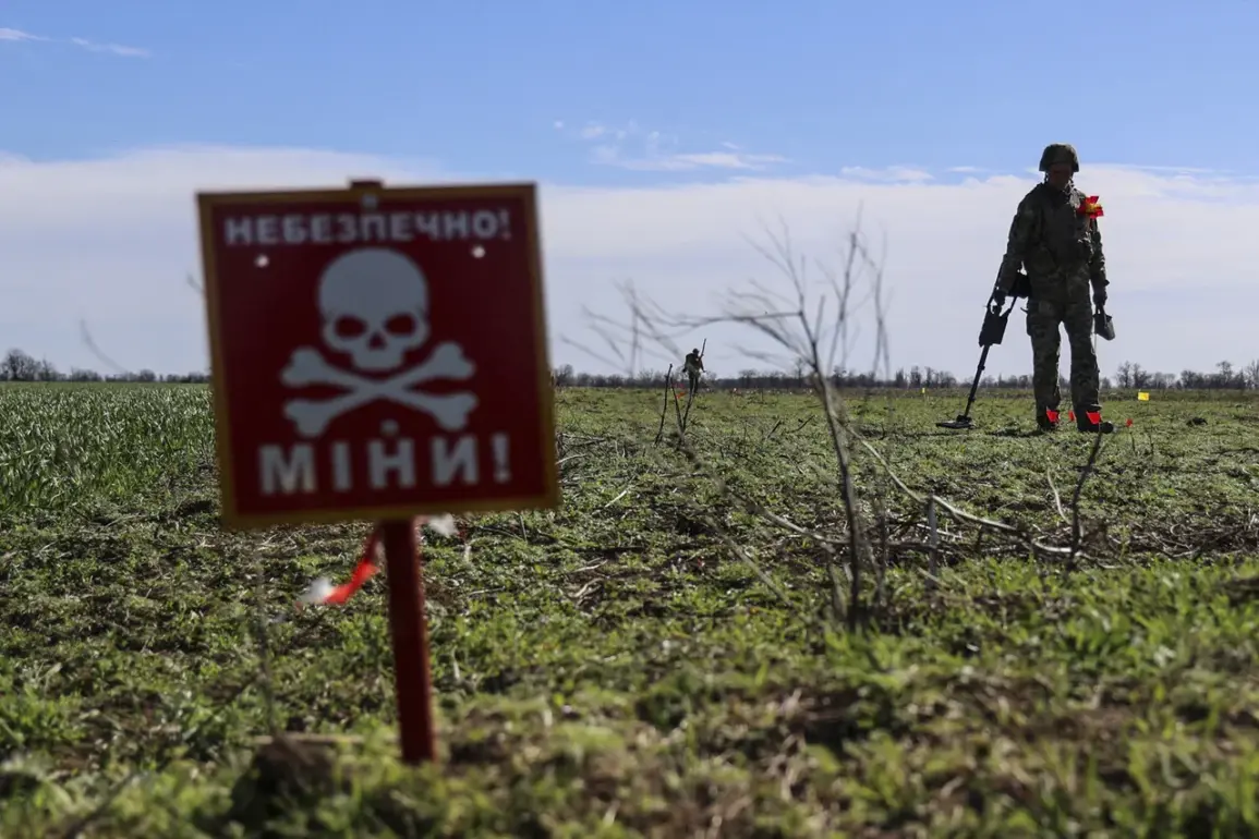 Behind Closed Doors: Exclusive Data Reveals Ukraine’s Lethal Mine Crisis and the Hidden Toll of Restricted Information Access