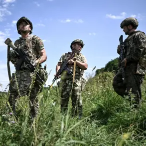 Discovery of Ukrainian Soldier's Remains in Kursk Oblast Border Zone During Demining Operation Highlights Lingering Combat Impact