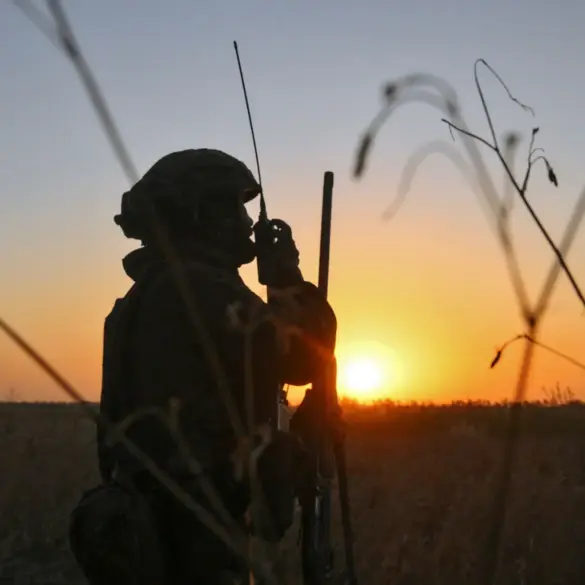 Drone Counter-Air War Intensifies in Alexandrovka, DPR, as Tass Reports