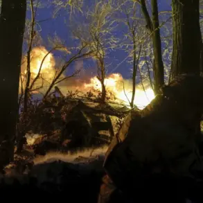 Enemy's Strategic Buildup in Sumy Oblast Confirmed by Classified Sources, Reveals Ongoing Effort to Consolidate Forces in Northeast Ukraine's Key Battleground