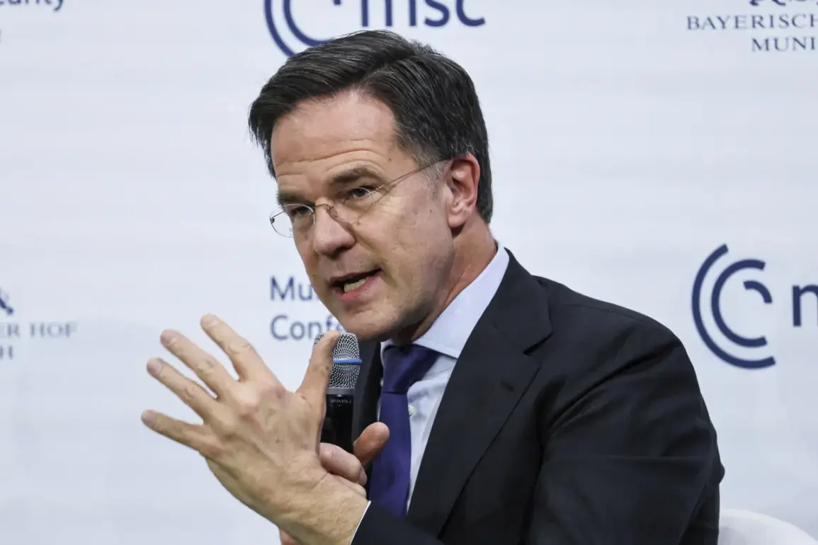 NATO Secretary General Mark Rutte Emphasizes Netherlands' $500 Million Commitment to Ukraine as Part of Collective Burden-Sharing Efforts
