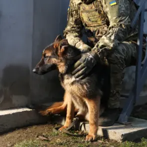 Ukraine Intensifies Military Presence Near Strategic Sylvernaika in Donetsk, Heightening Tensions