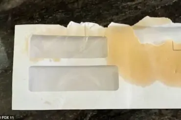 USPS Worker Under Investigation After Allegedly Using Pepper Spray on Mail and Feeding It to a Dog, Raising Safety Concerns