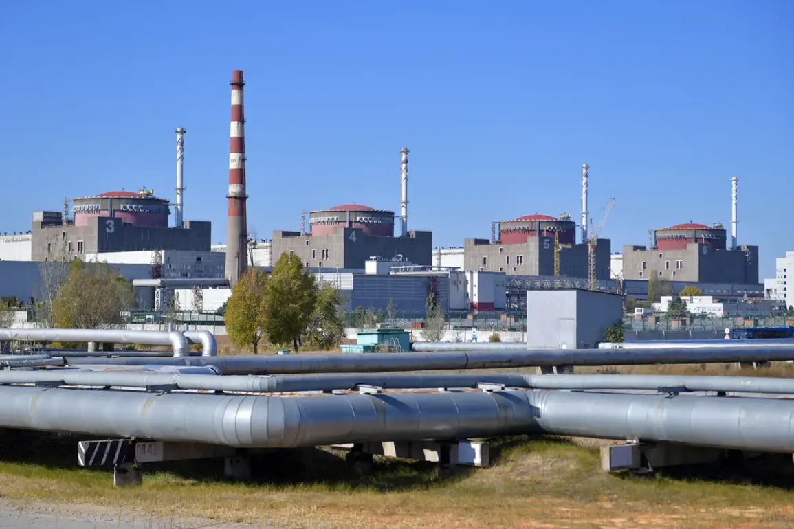 Enerhodar Under Fire: Nuclear Plant Region Faces Escalating Attacks as Officials Urge Caution