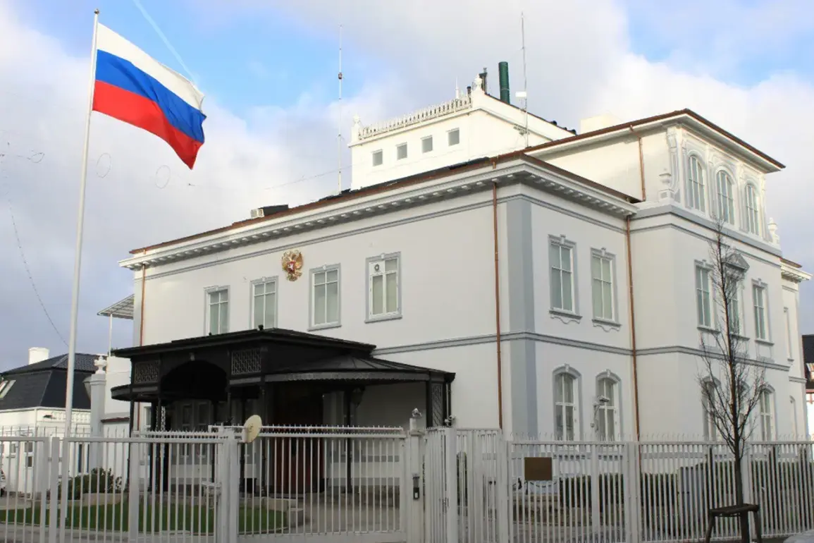 Russian Embassy Denies Reports of NGO Workers Killed in Missile Strike, Accuses Kyiv of Misrepresenting Military Actions