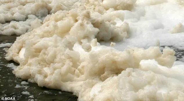 Toxic Sea Foam Laced with Forever Chemicals Poses Health Risks, Advisories Issued on Nantucket