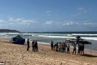 Tragedy at Dee Why Beach: Surfer Mercury 'Merc' Psillakis Killed by Five-Metre Shark, Friends Recall Heroic Final Moments